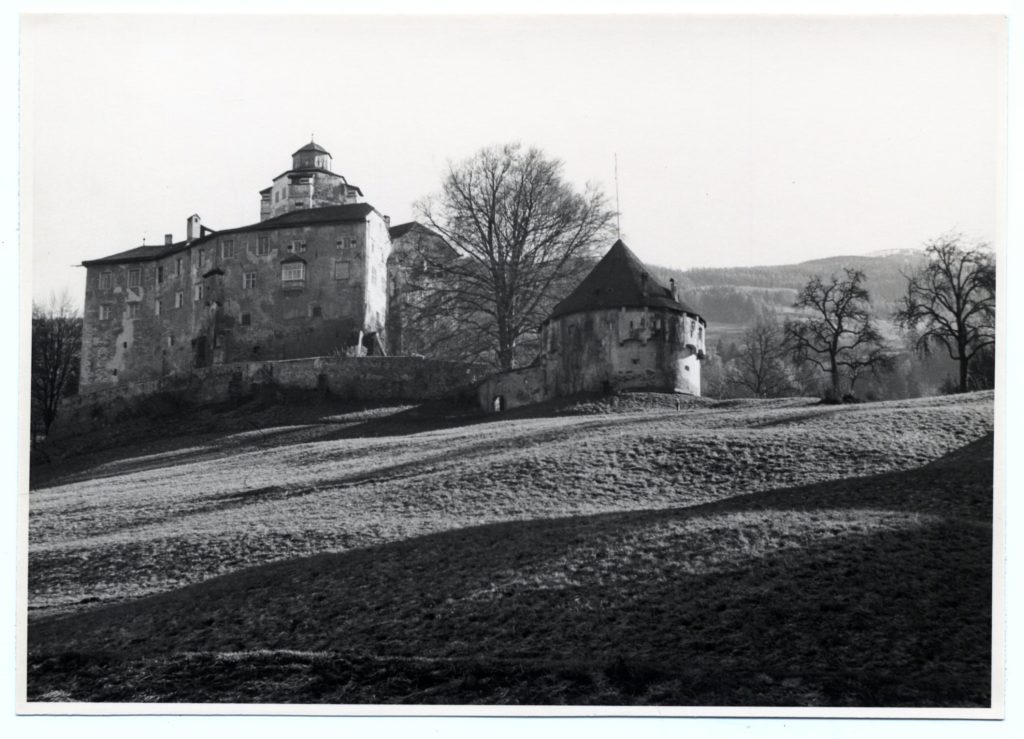 Schloss Friedberg, um 1955 TLM / Bibliothek
