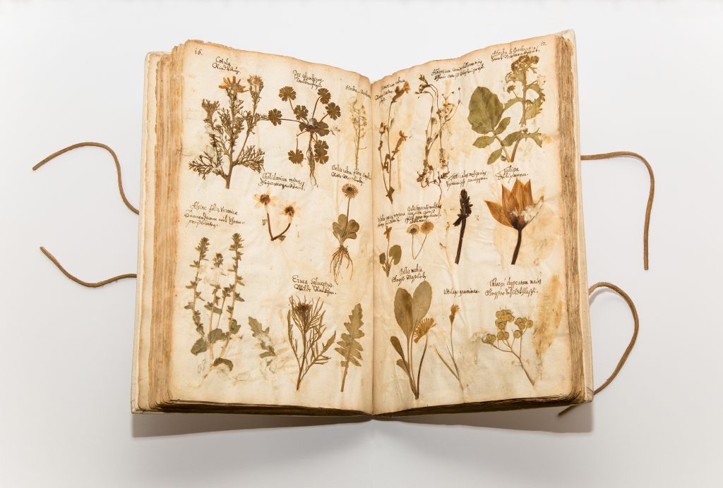 Herbarium von Hippolyt Guarinoni (1571 – 1654), Naturwissenschaftliche Sammlung