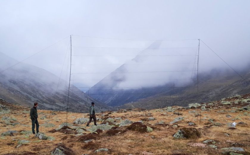 Pfitscherjoch