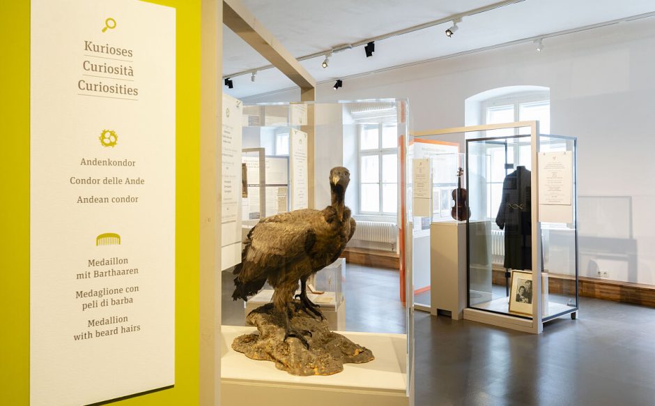 Blick in die neue Ausstellung &bdquo;Aufgesp&uuml;rt. Objekte, Geschichten, Geheimnisse&ldquo;.